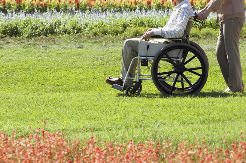 东方人,两个人,夫妻,站,坐,走,横图,室外,白天,侧面,爱情,草地,草坪,花海,花圃,植物,叶子,亚洲,许多,服装,盛开,工具,绿叶,浪漫,花蕾,注视,休闲装,黄种人,草,花,花瓣,花朵,花卉,鲜花,衣服,绿色,自然,轮椅,花丛,花田,花苞,花蕊,复健,观察,看,站着,休闲,康复,休闲服,器械,嫩叶,恩爱,恋人,服饰,生长,成长,观看,察看,医疗设备,关注,医疗器械,医疗工具,辅助设备,老年男性,老年女性,男人,男性,女人,女性,亚洲人,夫妇,情侣,叶,叶片,步行,散步,站立,走路,坐着,半身,彩图,伴侣