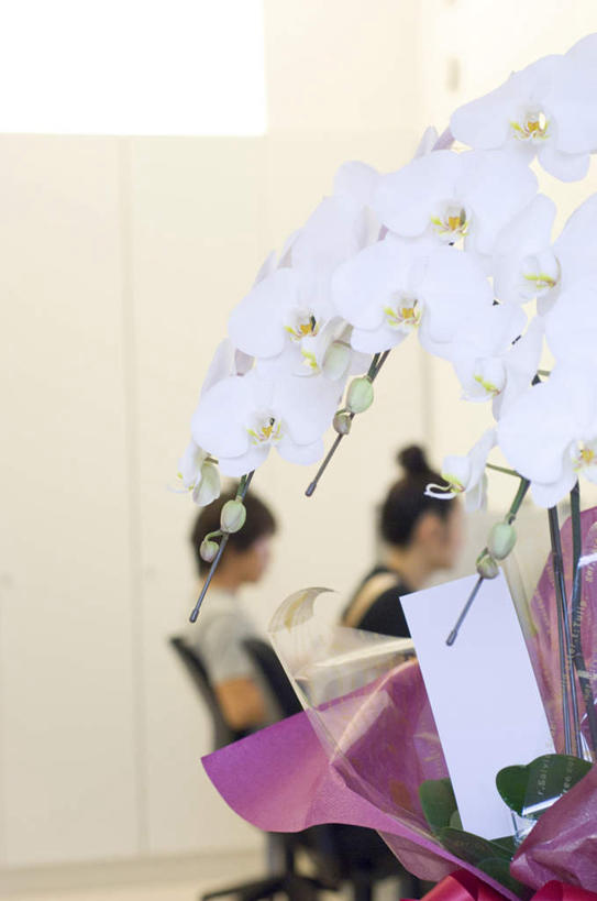 东方人,两个人,同事,坐,竖图,室内,特写,白天,正面,成功,合作,团队,集体,信心,蝴蝶兰,亚洲,许多,服装,朦胧,模糊,盛开,花蕾,注视,休闲装,黄种人,队伍,花,花瓣,花朵,鲜花,衣服,白色,卡片,花苞,花蕊,观察,看,休闲,休闲服,服饰,观看,察看,领导,成就,关注,合伙,领袖,兰花,年轻女性,女人,女性,亚洲人,坐着,半身,彩图