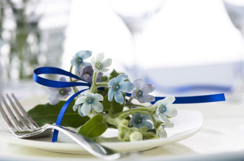 无人,横图,俯视,室内,特写,白天,勿忘我,餐具,一把,一根,朦胧,模糊,布料,丝绸,丝带,叉,陶瓷,缎带,陶瓷制品,布纹,绸带,桌布,一个,蓝色,白色,盘子,餐巾,台布,单个,进餐用具,烹调用具,星辰花,勿忘草,斯太菊,矶松,彩图,高角度拍摄