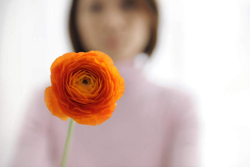 东方人,一个人,横图,室内,特写,白天,白色背景,正面,亚洲,仅一个年轻女性,仅一个女性,仅一个人,服装,朦胧,模糊,盛开,芹菜花,花毛茛,花蕾,休闲装,黄种人,花,花瓣,花朵,鲜花,一朵,衣服,花苞,花蕊,休闲,休闲服,橙色,摄影,服饰,影棚,陆莲花,波斯毛茛,年轻女性,女人,女性,亚洲人,半身,彩图,影棚拍摄,拍摄