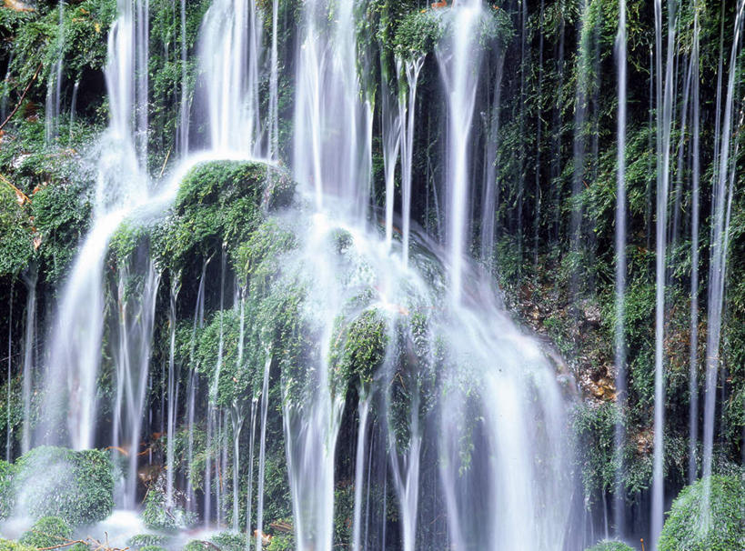 无人,横图,室外,白天,正面,旅游,度假,美景,瀑布,水,植物,秋田县,日本,亚洲,飞溅,朦胧,模糊,溅,液体,景观,水滴,苔藓,娱乐,水珠,绿色,自然,享受,休闲,景色,放松,喷洒,自然风光,东亚,本州,本州岛,日本国,秋田,东北地方,跌水,彩图