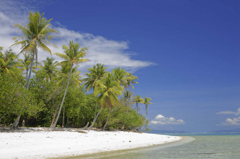 无人,横图,室外,白天,正面,旅游,度假,海浪,海洋,美景,沙滩,植物,沙子,海岸,景观,浪花,云,云朵,沙地,云彩,娱乐,树,树木,蓝色,绿色,白云,蓝天,天空,自然,海水,天,享受,休闲,景色,放松,生长,晴朗,成长,自然风光,大洋洲,海景,塔希提岛,法属波利尼西亚,社会群岛,大溪地,法属玻利尼西亚,塔西提岛,大海,风浪,海,海水的波动,海滩,近岸浪,涌浪,晴空,彩图