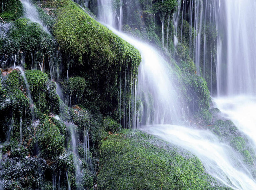 无人,横图,室外,白天,正面,旅游,度假,美景,瀑布,水,植物,秋田县,日本,亚洲,许多,飞溅,溅,液体,景观,水滴,苔藓,娱乐,水珠,绿色,自然,享受,休闲,景色,放松,喷洒,自然风光,东亚,本州,本州岛,日本国,秋田,东北地方,跌水,彩图