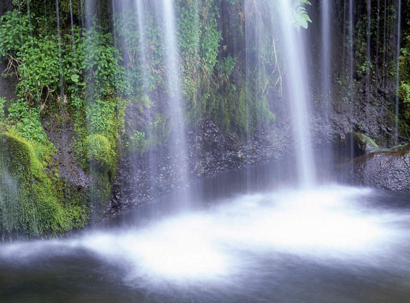 无人,横图,俯视,室外,白天,旅游,度假,美景,瀑布,水,植物,日本,亚洲,许多,飞溅,溅,液体,景观,水滴,苔藓,娱乐,水珠,树,树木,绿色,自然,享受,休闲,景色,放松,生长,成长,喷洒,自然风光,东亚,本州,本州岛,日本国,中部地方,山梨,山梨县,跌水,彩图,高角度拍摄