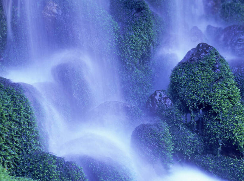 无人,横图,室外,白天,正面,旅游,度假,美景,瀑布,水,植物,长野县,日本,亚洲,许多,飞溅,溅,液体,景观,水滴,苔藓,娱乐,水珠,绿色,自然,享受,休闲,景色,放松,喷洒,自然风光,东亚,本州,本州岛,日本国,中部地方,长野,跌水,彩图