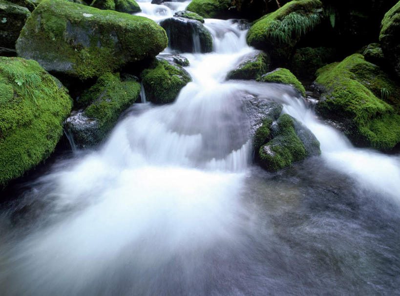 无人,横图,俯视,室外,白天,旅游,度假,河流,美景,瀑布,水,植物,长野县,日本,亚洲,许多,飞溅,湍急,溅,液体,河水,景观,水滴,水流,苔藓,娱乐,水珠,绿色,自然,享受,休闲,景色,放松,喷洒,自然风光,东亚,本州,本州岛,日本国,中部地方,长野,轻井泽,跌水,彩图,高角度拍摄