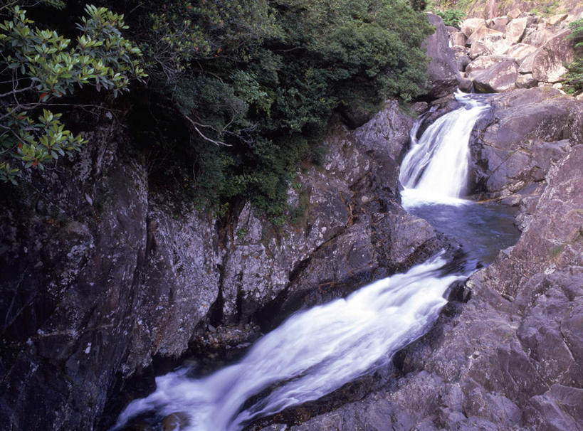 无人,横图,俯视,室外,白天,旅游,度假,河流,美景,树林,水,植物,鹿儿岛,日本,亚洲,湍急,河水,景观,水流,娱乐,树,树木,绿色,自然,享受,休闲,景色,放松,生长,成长,自然风光,东亚,日本国,九州本岛,九州,九州岛,九州地方,鹿儿岛县,彩图,高角度拍摄