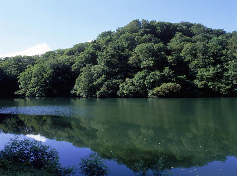 无人,横图,室外,白天,正面,旅游,度假,湖,湖泊,美景,树林,水,植物,日本,亚洲,波纹,湖面,景观,水流,水面,云,云朵,涟漪,云彩,娱乐,树,树木,蓝色,绿色,白云,蓝天,水纹,天空,自然,波浪,湖水,天,享受,休闲,景色,放松,生长,晴朗,成长,自然风光,东亚,本州,本州岛,日本国,水晕,青森,青森县,东北地方,晴空,彩图