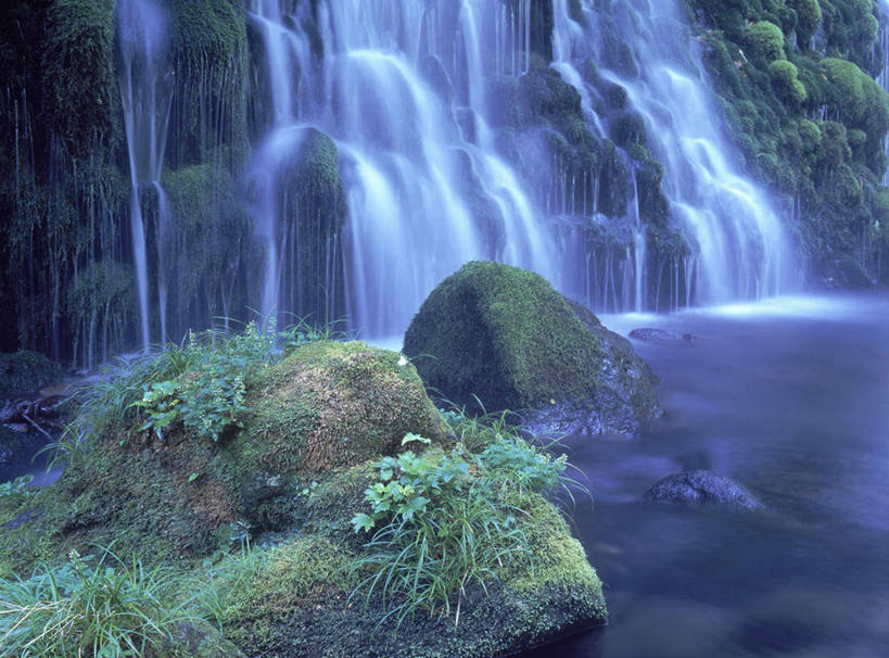 无人,横图,室外,白天,正面,旅游,度假,石头,美景,瀑布,水,植物,秋田县,日本,亚洲,飞溅,溅,石子,液体,景观,水滴,苔藓,娱乐,水珠,绿色,自然,享受,休闲,景色,放松,喷洒,自然风光,东亚,本州,本州岛,日本国,秋田,东北地方,跌水,石块,岩石,彩图