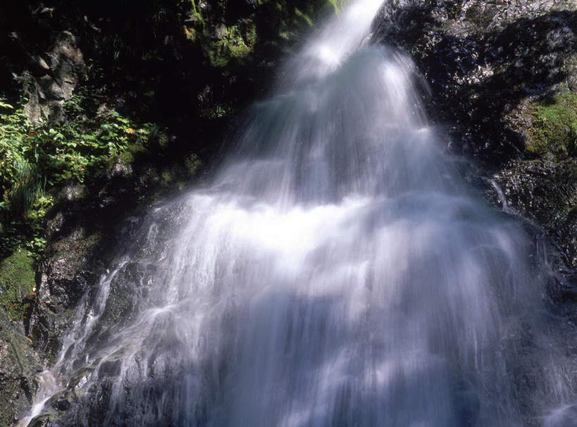 无人,横图,室外,白天,长时间曝光,仰视,旅游,度假,美景,瀑布,森林,树林,水,植物,静冈县,日本,亚洲,阴影,飞溅,溅,光线,液体,影子,景观,水滴,娱乐,水珠,树,树木,绿色,阳光,自然,享受,休闲,景色,放松,生长,成长,喷洒,自然风光,曝光,东亚,本州,本州岛,日本国,中部地方,静冈,暴光,跌水,彩图,低角度拍摄