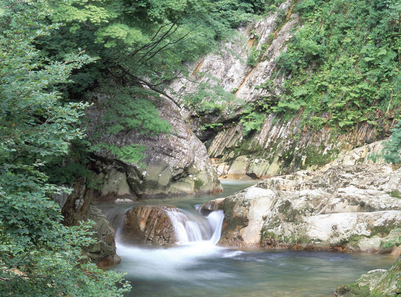 无人,横图,室外,白天,正面,旅游,度假,河流,石头,美景,森林,树林,水,植物,日本,亚洲,石子,河水,景观,水流,娱乐,树,树木,绿色,小溪,自然,溪水,享受,休闲,景色,放松,生长,成长,自然风光,东亚,本州,本州岛,日本国,青森,青森县,东北地方,石块,岩石,彩图