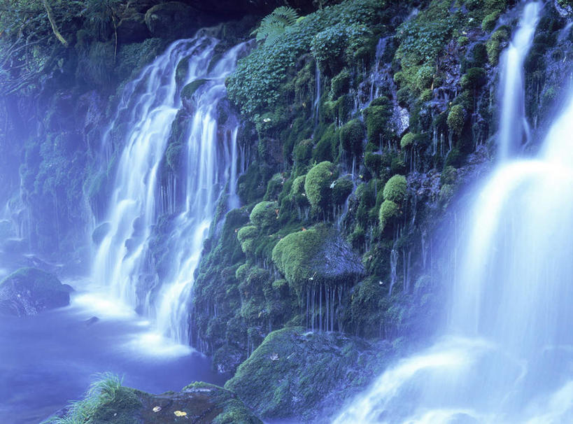 无人,横图,室外,白天,正面,长时间曝光,旅游,度假,美景,瀑布,水,植物,秋田县,日本,亚洲,飞溅,朦胧,模糊,溅,液体,景观,水滴,苔藓,娱乐,水珠,绿色,自然,享受,休闲,景色,放松,喷洒,自然风光,曝光,东亚,本州,本州岛,日本国,秋田,东北地方,暴光,跌水,彩图