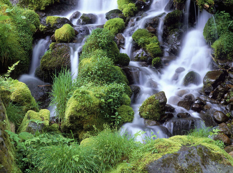 无人,横图,室外,白天,正面,长时间曝光,旅游,度假,河流,石头,美景,水,日本,亚洲,石子,河水,景观,水流,娱乐,小溪,自然,溪水,享受,休闲,景色,放松,自然风光,曝光,东亚,本州,本州岛,日本国,中部地方,山梨,山梨县,暴光,石块,岩石,彩图