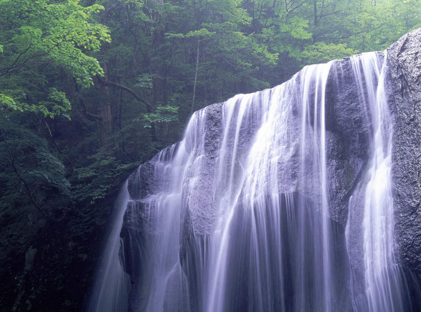 无人,横图,室外,白天,正面,旅游,度假,美景,瀑布,森林,树林,水,植物,日本,亚洲,飞溅,溅,液体,景观,水滴,娱乐,水珠,树,树木,绿色,自然,享受,休闲,景色,放松,生长,成长,喷洒,自然风光,东亚,本州,本州岛,日本国,东北地方,福岛,福岛县,跌水,彩图