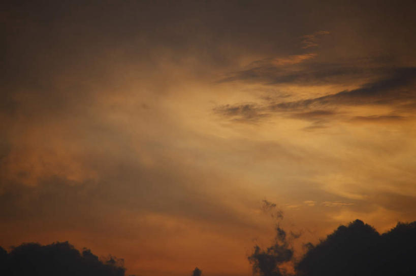 无人,横图,室外,白天,仰视,旅游,度假,美景,日落,植物,景观,晚霞,霞光,云,云朵,云彩,娱乐,树,树木,黄色,绿色,自然,黄昏,享受,休闲,景色,彩霞,放松,生长,晴朗,成长,自然风光,晴空,夕阳,彩图,低角度拍摄