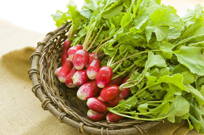 无人,横图,俯视,室内,特写,白天,萝卜,蔬菜,叶子,一堆,许多,阴影,堆叠,堆积,新鲜,反射,影子,食品,绿叶,食物,红色,嫩叶,有机食品,绿色食品,水萝卜,堆,叶,叶片,彩图,高角度拍摄