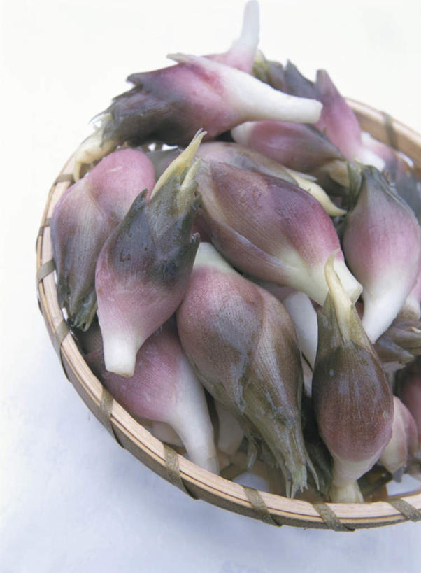 无人,竖图,俯视,室内,特写,白天,白色背景,桌面,姜,蔬菜,一排,许多,新鲜,整齐,篮子,食品,褐色,食物,排列,摄影,有机食品,绿色食品,影棚,堆,队列,生姜,老姜,彩图,高角度拍摄,影棚拍摄,拍摄