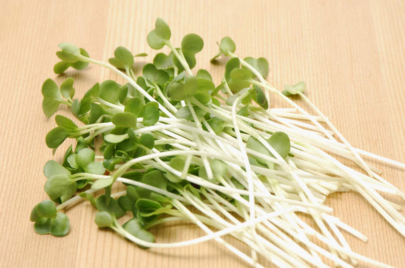 无人,横图,俯视,室内,特写,白天,桌面,桌子,蔬菜,叶子,一堆,许多,堆叠,堆积,新鲜,豆芽,食品,绿叶,食物,嫩叶,摄影,有机食品,绿色食品,影棚,堆,豆芽菜,芽苗菜,叶,叶片,彩图,高角度拍摄,影棚拍摄,拍摄