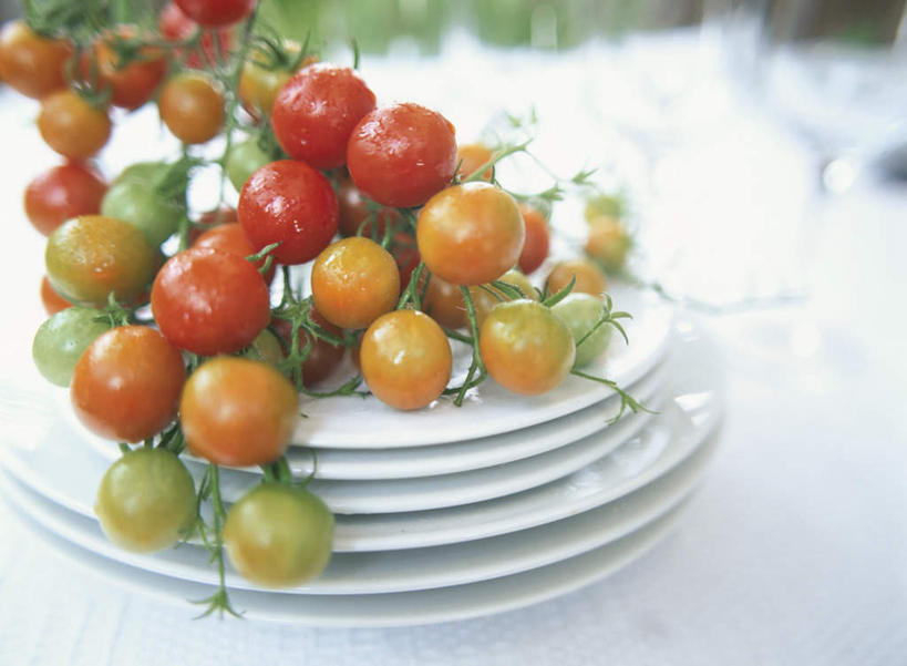 无人,横图,俯视,室外,特写,白天,桌面,西红柿,餐具,水果,一堆,许多,阴影,堆叠,堆积,朦胧,模糊,新鲜,光线,碟子,盘,影子,生食,食品,果实,食物,排列,红色,绿色,阳光,盘子,碟,碗,球体,有机食品,绿色食品,堆,队列,樱桃番茄,圣女果,番茄,彩图,高角度拍摄