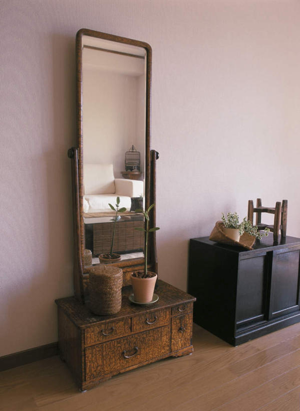 无人,竖图,室内,白天,正面,植物,地板,柜子,镜子,沙发,许多,阴影,装饰,光线,盆栽,影子,墙,盆景,地面,木地板,墙壁,墙面,绿色,阳光,自然,生长,成长,华丽,修饰,点缀,镜像,镜面,布艺沙发,衬托,美观,雅致,雅观,彩图