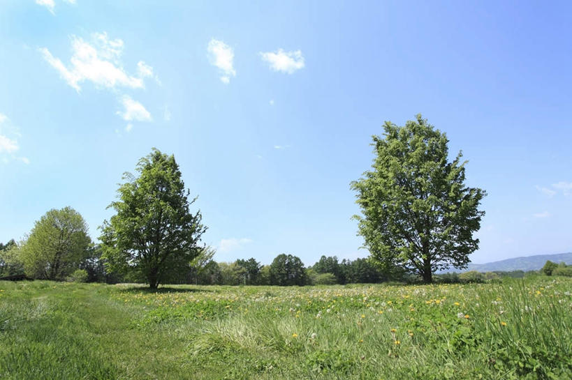 无人,横图,室外,白天,正面,旅游,度假,草地,草坪,美景,植物,道路,路,日本,亚洲,阴影,光线,影子,景观,云,云朵,小路,交通,云彩,娱乐,草,树,树木,蓝色,绿色,白云,蓝天,天空,阳光,自然,天,享受,休闲,景色,放松,乡间小路,生长,成长,自然风光,东亚,本州,本州岛,日本国,中部地方,山梨,山梨县,彩图