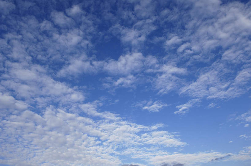 无人,横图,室外,特写,白天,仰视,旅游,度假,美景,植物,长野县,日本,亚洲,阴影,光线,影子,景观,云,云朵,云彩,娱乐,树,树木,蓝色,绿色,白云,蓝天,天空,阳光,自然,天,享受,休闲,景色,放松,生长,成长,自然风光,东亚,本州,本州岛,日本国,中部地方,长野,彩图,低角度拍摄