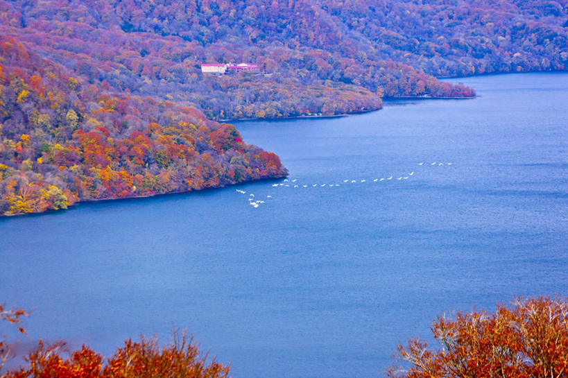 无人,家,横图,俯视,航拍,室外,白天,旅游,度假,草地,草坪,湖,湖泊,美景,水,植物,秋田县,日本,亚洲,阴影,光线,影子,房屋,屋子,湖面,景观,水流,水面,娱乐,楼房,住宅,草,树,树木,绿色,阳光,自然,湖水,享受,休闲,景色,放松,生长,成长,鸟瞰,自然风光,东亚,本州,本州岛,日本国,秋田,东北地方,彩图,高角度拍摄,房子