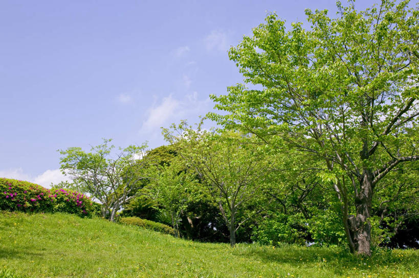 无人,横图,室外,白天,正面,旅游,度假,草地,草坪,美景,植物,神奈川,日本,亚洲,阴影,光线,影子,景观,云,云朵,神奈川县,云彩,娱乐,草,树,树木,蓝色,绿色,白云,蓝天,天空,阳光,自然,天,享受,休闲,景色,放松,生长,成长,自然风光,东亚,本州,关东地方,本州岛,日本国,彩图