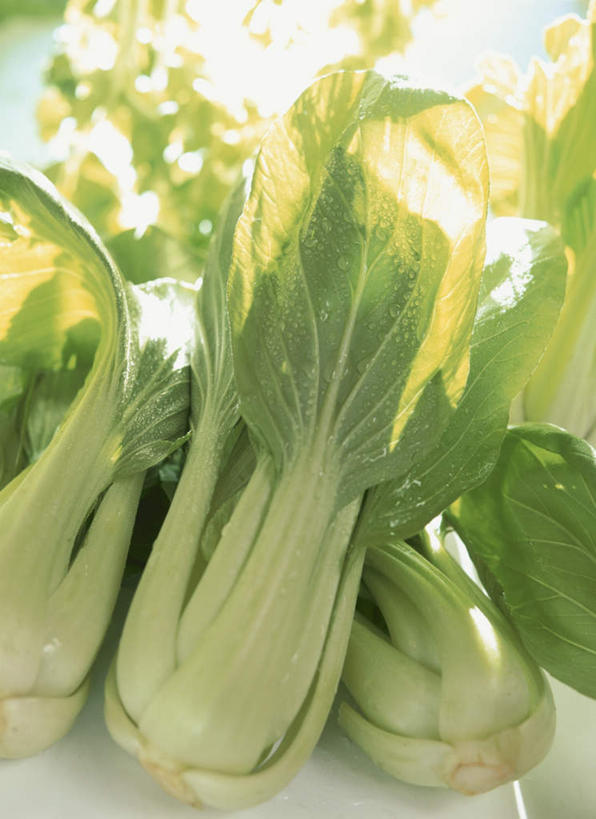 无人,竖图,俯视,室内,白天,白色背景,桌面,蔬菜,叶子,一堆,许多,阴影,堆叠,堆积,新鲜,光线,影子,青菜,食品,绿叶,食物,绿色,阳光,嫩叶,摄影,有机食品,绿色食品,影棚,堆,叶,叶片,彩图,高角度拍摄,影棚拍摄,拍摄