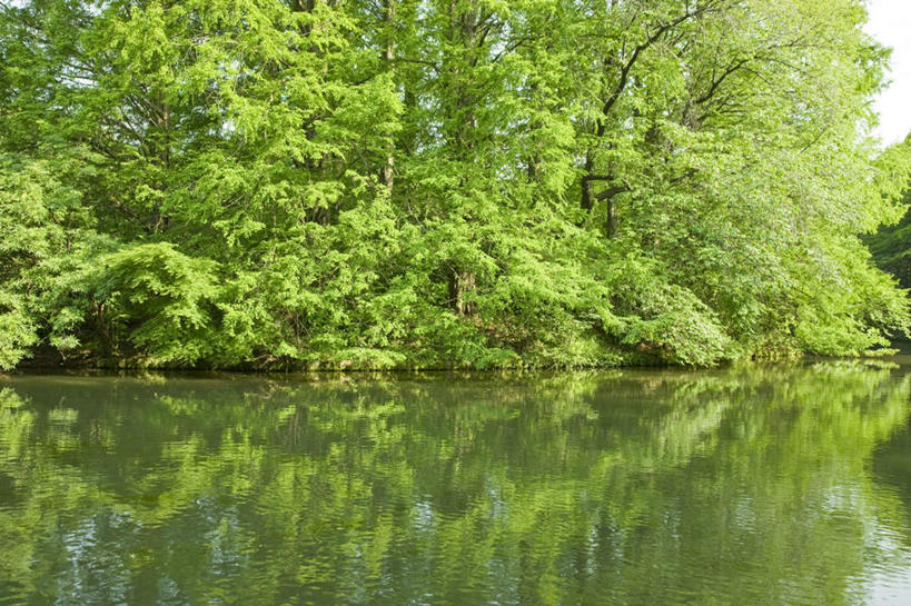 无人,横图,室外,白天,正面,旅游,度假,草地,草坪,湖,湖泊,美景,水,植物,东京,日本,亚洲,阴影,光线,影子,湖面,景观,水流,水面,娱乐,草,树,树木,蓝色,绿色,蓝天,天空,阳光,自然,湖水,天,享受,休闲,景色,放松,生长,成长,自然风光,东亚,本州,关东地方,本州岛,日本国,东京都,彩图