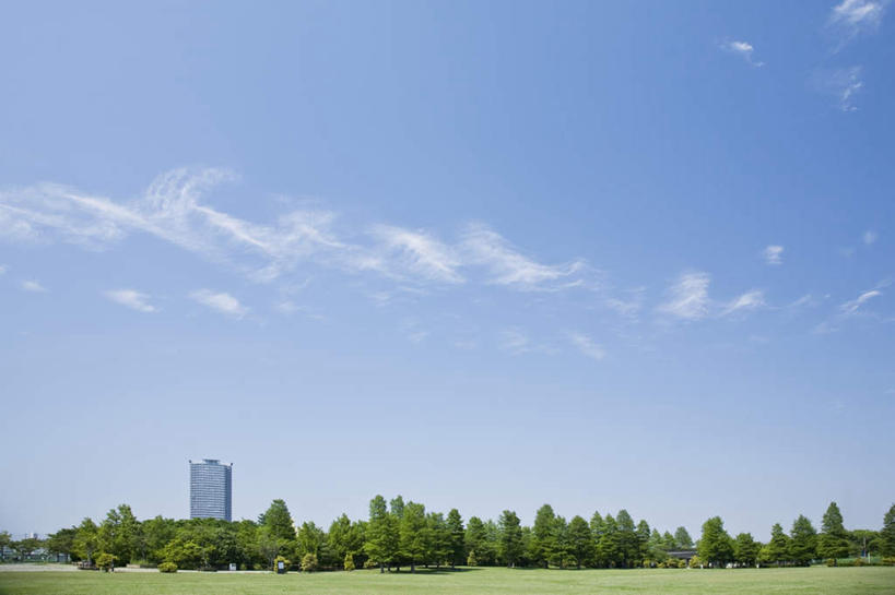 无人,高楼大厦,横图,室外,白天,正面,旅游,度假,草地,草坪,美景,植物,大厦,建筑,摩天大楼,东京,日本,亚洲,阴影,光线,影子,景观,云,云朵,云彩,娱乐,草,树,树木,蓝色,绿色,白云,蓝天,天空,阳光,自然,天,享受,休闲,景色,放松,生长,成长,自然风光,东亚,本州,关东地方,本州岛,日本国,东京都,彩图,大楼,高层建筑,高楼,摩天楼