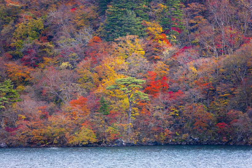 无人,横图,室外,白天,正面,旅游,度假,草地,草坪,湖,湖泊,美景,山,水,植物,日本,亚洲,阴影,波纹,光线,影子,湖面,景观,山峰,水流,水面,山峦,娱乐,草,树,树木,黄色,绿色,水纹,阳光,自然,波浪,湖水,享受,休闲,景色,放松,生长,成长,自然风光,东亚,本州,本州岛,日本国,青森,青森县,东北地方,彩图