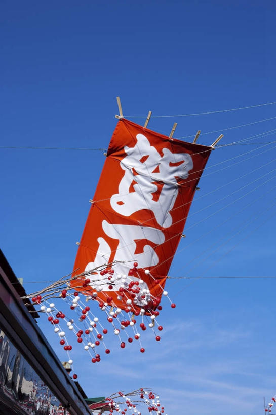 无人,家,竖图,室外,白天,仰视,旅游,度假,东京,日本,亚洲,阴影,节日,庆祝,光线,标志,文字,影子,字符,房屋,屋子,云,云朵,云彩,文化,娱乐,标识,楼房,住宅,一个,红色,蓝色,白云,蓝天,天空,阳光,风筝,天,庆典,享受,休闲,汉字,放松,放风筝,单个,纪念,纸鸢,中文,礼花,东亚,放鹞子,鹞,鹞子,鸢,木鸢,本州,关东地方,本州岛,日本国,东京都,国文,华文,彩图,低角度拍摄,房子