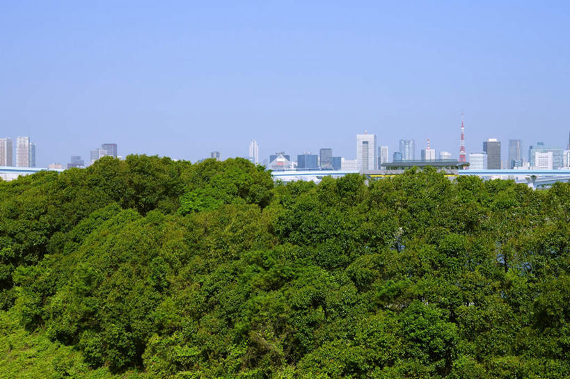 无人,高楼大厦,横图,室外,白天,正面,旅游,度假,草地,草坪,美景,植物,大桥,大厦,建筑,立交桥,摩天大楼,桥梁,东京,日本,亚洲,阴影,光线,影子,景观,云,云朵,高架,斜拉桥,桥,云彩,娱乐,草,树,树木,蓝色,绿色,白云,蓝天,天空,阳光,自然,天,享受,休闲,景色,放松,生长,成长,自然风光,东亚,本州,关东地方,本州岛,日本国,东京都,彩图,大楼,高层建筑,高楼,摩天楼