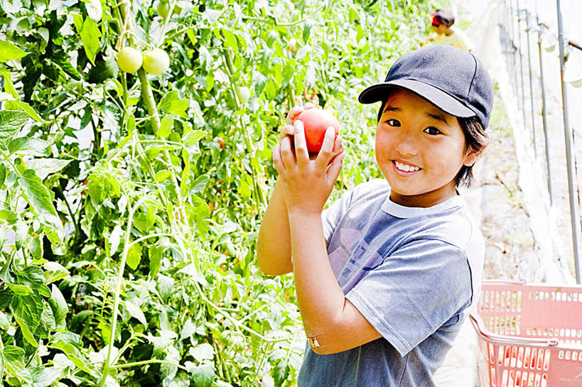 东方人,儿童,一个人,站,举,笑,摸,微笑,露齿笑,横图,室外,白天,正面,旅游,度假,纯洁,蔬菜,西红柿,帽子,叶子,亚洲,仅一个男性,仅一个人,抚摸,握,阴影,服装,新鲜,光线,影子,墙,食品,绿叶,拿,拿着,注视,休闲装,黄种人,娱乐,运动帽,墙壁,墙面,食物,一个,小孩,衣服,红色,蓝色,阳光,观察,看,托,站着,仅一个小孩,享受,休闲,休闲服,嫩叶,鸭舌帽,放松,可爱,童年,童趣,握着,服饰,有机食品,绿色食品,单个,观看,察看,关注,童真,烂漫,无邪,一顶,天真,男孩,男人,男性,亚洲人,孩子,叶,叶片,番茄,触摸,接触,举起,举手,举着,向上举,向上伸,向上托,站立,半身,彩图,男生
