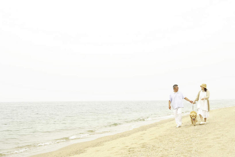 东方人,头发,两个人,家庭,夫妻,站,走,握手,摸,横图,室外,白天,正面,爱情,旅游,度假,海浪,海洋,沙滩,宠物,狗,帽子,亚洲,抚摸,阴影,服装,光线,沙子,影子,海岸,浪花,沙地,浪漫,休闲装,黄种人,娱乐,金毛犬,一只,衣服,黄色,黑色,天空,阳光,海水,动物,遮阳帽,天,站着,享受,休闲,温暖,温馨,一家人,休闲服,恩爱,放松,可爱,恋人,服饰,金毛,和睦,寻回犬,海景,金毛寻回犬,忠诚,一顶,老年男性,老年女性,男人,男性,女人,女性,亚洲人,夫妇,情侣,大海,风浪,海,海水的波动,海滩,近岸浪,涌浪,犬,步行,触摸,接触,拉手,散步,手拉手,手握手,站立,走路,彩图,全身,伴侣,融洽