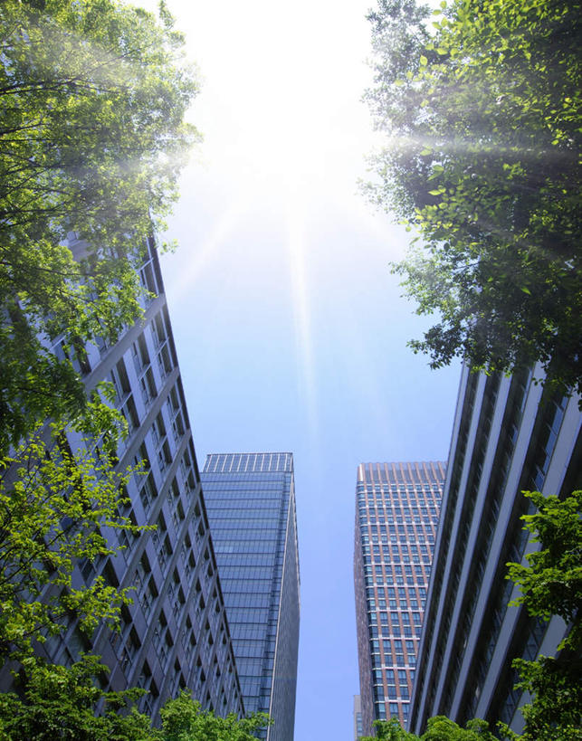 无人,高楼大厦,竖图,室外,白天,仰视,旅游,度假,草地,草坪,美景,植物,窗户,大厦,建筑,摩天大楼,东京,日本,亚洲,一排,许多,阴影,整齐,光线,方格,影子,景观,云,云朵,云彩,娱乐,玻璃窗,草,树,树木,排列,蓝色,绿色,白云,蓝天,天空,阳光,自然,天,享受,休闲,景色,放松,生长,成长,队列,自然风光,东亚,本州,关东地方,本州岛,日本国,东京都,彩图,低角度拍摄,大楼,高层建筑,高楼,摩天楼