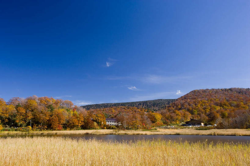 无人,农田,横图,室外,白天,正面,旅游,度假,庄稼,农作物,河流,美景,山,山脉,树林,水,植物,秋田县,日本,亚洲,朦胧,模糊,河水,景观,山峰,水流,云,云朵,山峦,云彩,娱乐,树,树木,蓝色,绿色,白云,蓝天,天空,自然,群山,天,享受,休闲,景色,放松,生长,晴朗,成长,自然风光,东亚,本州,本州岛,日本国,秋田,东北地方,晴空,彩图,耕地,庄稼田