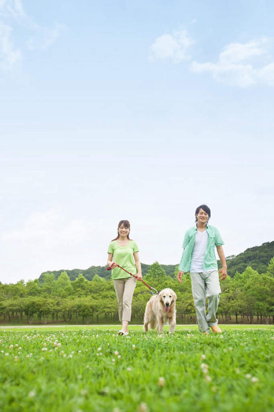 东方人,两个人,夫妻,走,笑,微笑,露齿笑,竖图,室外,白天,仰视,爱情,旅游,度假,草地,草坪,美景,树林,植物,亚洲,牵,服装,朦胧,模糊,景观,浪漫,休闲装,黄种人,娱乐,金毛犬,草,树,树木,一只,衣服,绿色,自然,享受,休闲,休闲服,景色,恩爱,放松,恋人,服饰,金毛,生长,成长,牵着,自然风光,寻回犬,金毛寻回犬,男人,男性,年轻男性,年轻女性,女人,女性,亚洲人,夫妇,情侣,步行,散步,走路,彩图,低角度拍摄,全身,伴侣
