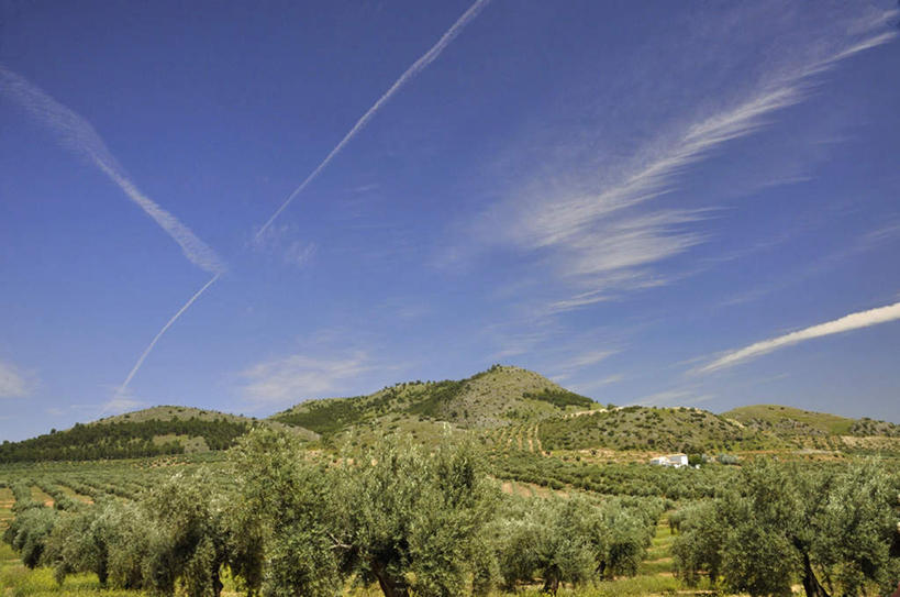 无人,果园,横图,室外,白天,正面,旅游,度假,草地,草坪,美景,树林,田园,植物,西班牙,欧洲,朦胧,模糊,景观,云,云朵,云彩,娱乐,草,树,树木,蓝色,绿色,白云,蓝天,天空,自然,庄园,天,享受,休闲,景色,放松,生长,晴朗,成长,南欧,自然风光,西班牙王国,晴空,彩图