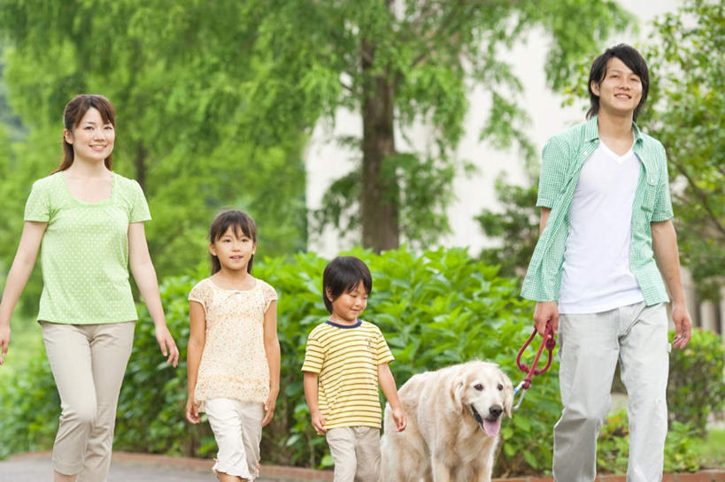 儿童,四个人,家庭,夫妻,母亲,父亲,女儿,儿子,走,笑,微笑,露齿笑,横图,室外,白天,正面,爱情,纯洁,树林,植物,道路,路,朦胧,模糊,小路,交通,浪漫,金毛犬,树,树木,一只,小孩,蓝色,绿色,蓝天,天空,自然,天,温暖,温馨,父女,父子,母女,母子,一家人,恩爱,父爱,可爱,母爱,童年,童趣,恋人,金毛,生长,晴朗,成长,和睦,寻回犬,童真,烂漫,无邪,金毛寻回犬,万里无云,天真,男孩,男人,男性,年轻男性,年轻女性,女孩,女人,女性,孩子,年轻人,夫妇,情侣,晴空,晴空万里,步行,散步,走路,半身,彩图,伴侣,融洽,男生,女生