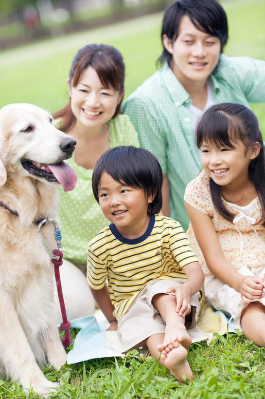 东方人,儿童,四个人,家庭,夫妻,母亲,父亲,女儿,儿子,坐,笑,微笑,露齿笑,竖图,俯视,室外,白天,爱情,纯洁,草地,草坪,植物,亚洲,服装,朦胧,模糊,浪漫,注视,休闲装,黄种人,金毛犬,吐舌头,草,一只,小孩,衣服,绿色,绳子,观察,看,伸舌头,休闲,温暖,温馨,鬼脸,父女,父子,母女,母子,一家人,休闲服,吐舌,恩爱,父爱,可爱,母爱,童年,童趣,恋人,服饰,金毛,观看,绳索,和睦,察看,关注,寻回犬,童真,烂漫,无邪,金毛寻回犬,天真,男孩,男人,男性,年轻男性,年轻女性,女孩,女人,女性,亚洲人,孩子,年轻人,夫妇,情侣,坐着,半身,彩图,高角度拍摄,伴侣,融洽,男生,女生