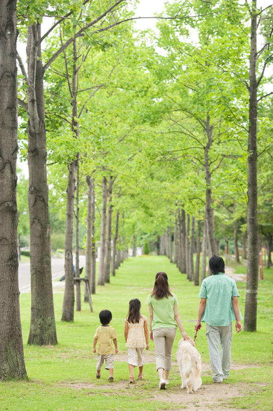 东方人,儿童,四个人,家庭,夫妻,母亲,父亲,女儿,儿子,走,竖图,室外,白天,爱情,旅游,度假,纯洁,草地,草坪,美景,植物,亚洲,一排,许多,牵,握,服装,朦胧,模糊,整齐,景观,浪漫,拿,拿着,休闲装,黄种人,娱乐,金毛犬,草,树,树木,排列,一只,小孩,背面,衣服,绿色,自然,享受,休闲,温暖,温馨,父女,父子,母女,母子,一家人,休闲服,景色,恩爱,放松,父爱,可爱,母爱,童年,童趣,握着,恋人,服饰,金毛,生长,成长,牵着,和睦,队列,自然风光,寻回犬,童真,烂漫,无邪,金毛寻回犬,天真,男孩,男人,男性,年轻男性,年轻女性,女孩,女人,女性,亚洲人,孩子,年轻人,夫妇,情侣,步行,散步,走路,彩图,全身,伴侣,融洽,男生,女生