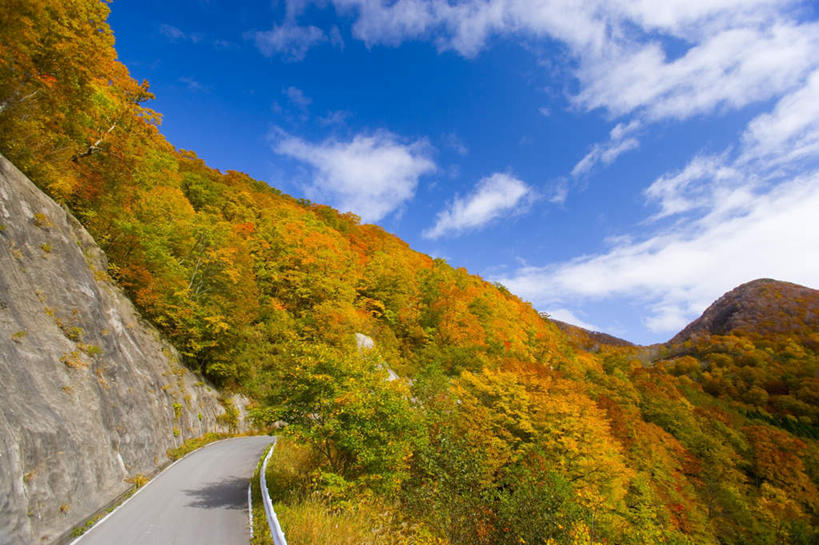 无人,栏杆,横图,室外,白天,正面,旅游,度假,美景,秋季,山,山脉,树林,植物,道路,路,公路,日本,亚洲,朦胧,模糊,栅栏,景观,篱笆,山峰,云,云朵,围栏,交通,山峦,云彩,娱乐,护栏,树,树木,蓝色,绿色,白云,蓝天,天空,自然,群山,天,享受,休闲,景色,放松,生长,晴朗,成长,自然风光,东亚,本州,本州岛,日本国,青森,青森县,东北地方,晴空,秋,秋天,马路,彩图