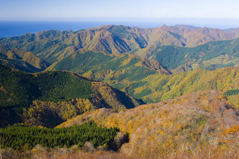 无人,横图,俯视,航拍,室外,白天,旅游,度假,草地,草坪,美景,山,山脉,树林,植物,秋田县,日本,亚洲,阴影,光线,影子,景观,山峰,山峦,娱乐,草,树,树木,蓝色,绿色,蓝天,天空,阳光,自然,群山,天,享受,休闲,景色,放松,生长,晴朗,成长,鸟瞰,自然风光,东亚,本州,万里无云,本州岛,日本国,秋田,东北地方,晴空,晴空万里,彩图,高角度拍摄