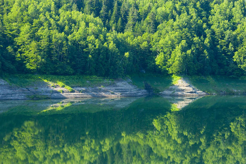无人,横图,室外,白天,正面,旅游,度假,湖,湖泊,美景,森林,树林,水,植物,北海道,日本,亚洲,阴影,朦胧,模糊,反射,光线,影子,湖面,景观,水流,水面,娱乐,树,树木,绿色,倒影,阳光,自然,湖水,享受,休闲,景色,放松,生长,成长,倒映,自然风光,东亚,日本国,北海道地方,北海道岛,反照,彩图