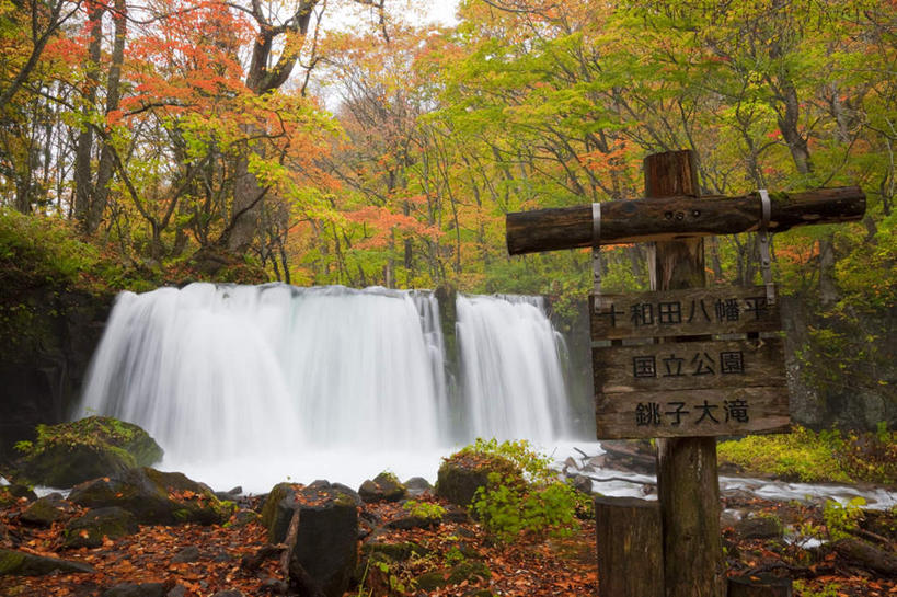 无人,公园,横图,室外,白天,正面,旅游,度假,美景,瀑布,水,指示牌,叶子,秋田县,日本,亚洲,飞溅,朦胧,模糊,溅,标志,文字,液体,字符,景观,水滴,绿叶,娱乐,标识,水珠,蓝色,蓝天,天空,自然,天,享受,休闲,嫩叶,汉字,景色,放松,晴朗,喷洒,中文,自然风光,东亚,本州,万里无云,本州岛,日本国,秋田,岩手,岩手县,青森,青森县,东北地方,十和田八幡平国立公园,国文,华文,叶,叶片,跌水,晴空,晴空万里,彩图