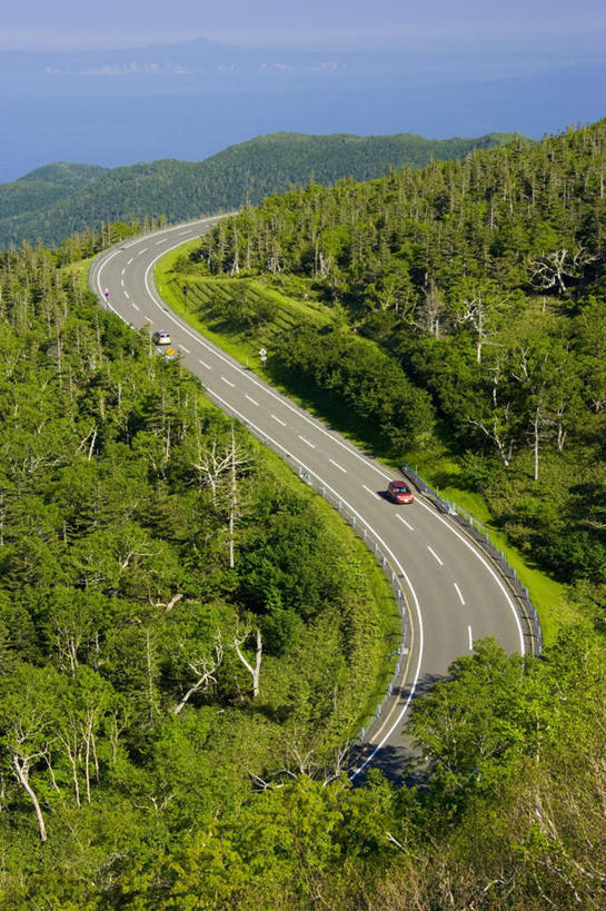 无人,竖图,俯视,航拍,室外,白天,旅游,度假,草地,草坪,美景,山,山脉,树林,植物,道路,路,公路,汽车,北海道,日本,亚洲,一辆,阴影,朦胧,模糊,光线,影子,景观,山峰,分界线,停车线,交通,山峦,娱乐,车,草,树,树木,绿色,阳光,自然,交通工具,轿车,群山,驾驶,行驶,享受,休闲,景色,放松,生长,成长,车行道,车行道分界线,操纵,控制,鸟瞰,自然风光,载具,标线,东亚,操控,车行线,日本国,北海道地方,北海道岛,把持,马路,彩图,高角度拍摄