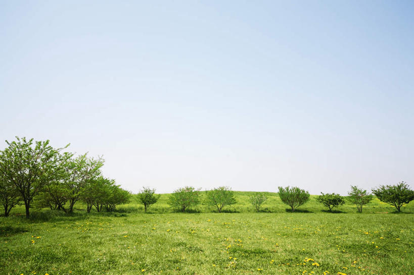 无人,横图,室外,白天,正面,旅游,度假,草地,草坪,美景,植物,日本,亚洲,景观,云,云朵,千叶县,云彩,娱乐,草,树,树木,蓝色,绿色,白云,蓝天,天空,自然,天,享受,休闲,景色,放松,生长,晴朗,成长,自然风光,东亚,本州,关东地方,本州岛,日本国,千叶,晴空,彩图