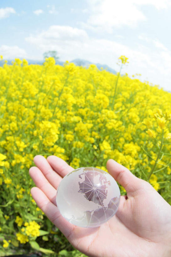 东方人,一个人,捧,竖图,俯视,室外,白天,旅游,度假,仪器,海洋,花海,花圃,美景,植物,地图,叶子,亚洲,仅一个年轻女性,仅一个女性,仅一个人,许多,盛开,透明,网格,地球仪,线条,世界地图,地球,景观,陆地,水晶,全球,花蕾,黄种人,娱乐,球,花,花瓣,花朵,花卉,鲜花,一个,黄色,蓝色,绿色,蓝天,天空,自然,经纬线,模型,花丛,花束,花田,天,花苞,花蕊,油菜花,享受,休闲,球体,水晶球,景色,放松,地理,国家,晴朗,单个,大陆,世界,自然风光,纬线,版图,经线,万里无云,经纬仪,地理学,年轻女性,女人,女性,亚洲人,晴空,晴空万里,端,端着,捧着,手捧,半身,彩图,高角度拍摄,大洋,大洲,芸苔,芸薹
